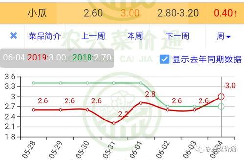 今日小瓜走势分析图最新,今日行情动态一览