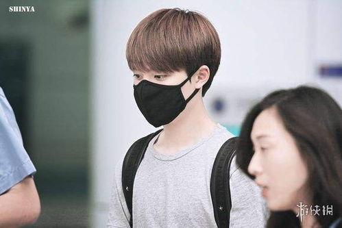 明星网红口罩什么牌子,揭秘口罩界的明星品牌