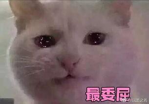 带你吃瓜奇葩武器黑科,带你探索带你吃瓜的奇葩武器世界