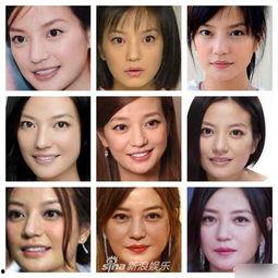 出道明星网红图,出道明星网红图鉴