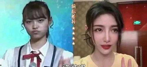 出道明星网红图,出道明星网红图鉴