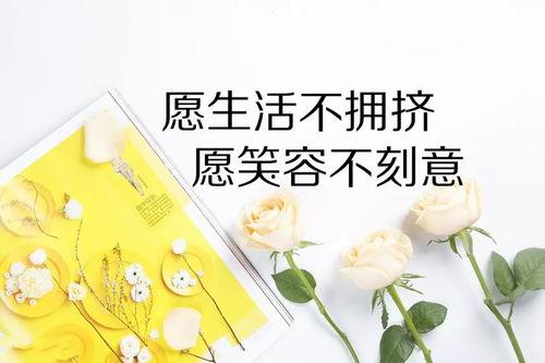 教师吃瓜爆料文案简短一点,揭秘校园那些事儿