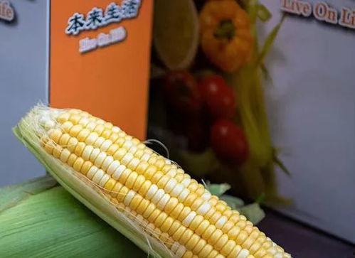 热门消防大瓜,真相与争议并存