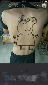 小猪明星网红视频大全,萌态百出，欢乐无限