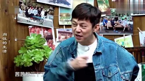 小猪明星网红视频大全,萌态百出，欢乐无限