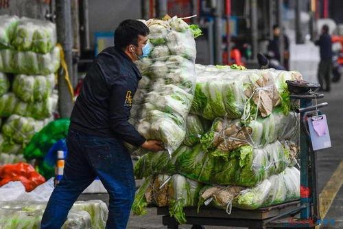 海口今日瓜菜批发价,新鲜直供，价格行情一览