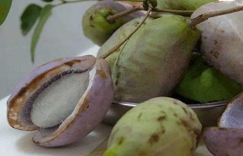 八月瓜可以吃黑籽吗图片,口感与营养双重体验