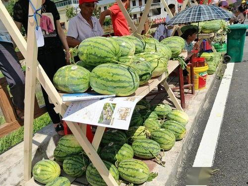 梁山最近热门吃瓜,揭秘梁山最新热门事件背后的真相