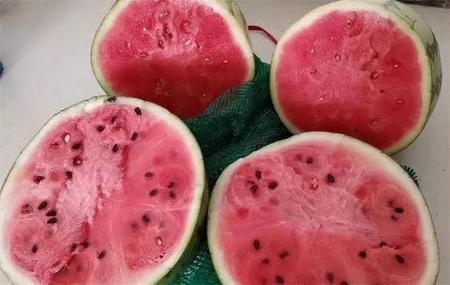 麒麟瓜带点黑籽可以吃吗,安全与营养并重