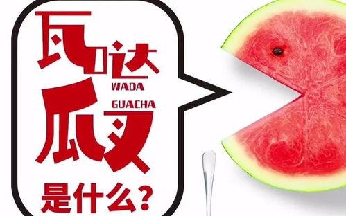 抖音上的热门瓜,揭秘网络红人的背后故事