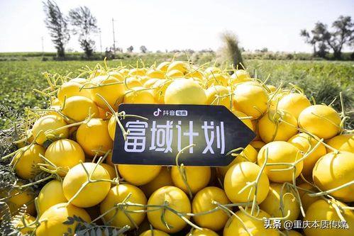 抖音上的热门瓜,揭秘网络红人的背后故事