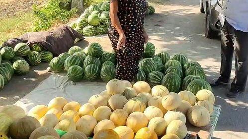 51朝阳吃瓜热门,揭秘热门事件背后的真相与笑料