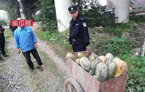 近期热门吃瓜事件永年,揭秘近期热门吃瓜事件背后的真相