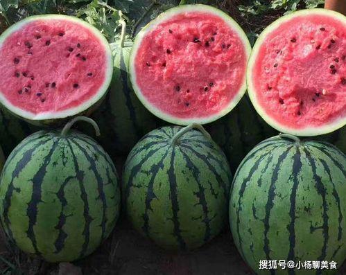 今日吃瓜爆料收藏不迷路,今日热点爆料汇总