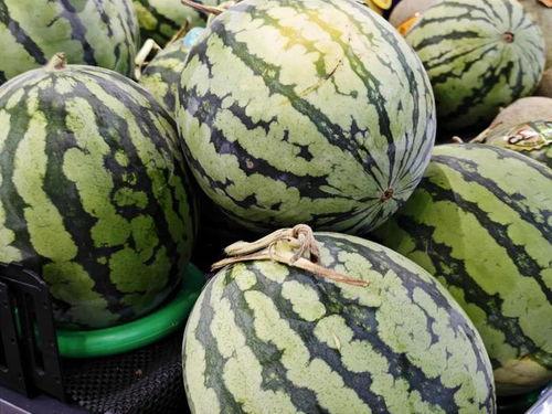 热门吃瓜君,揭秘娱乐圈最新热点事件