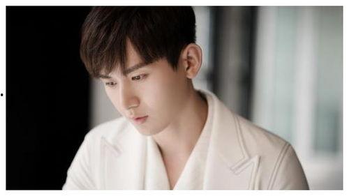 吃瓜娱乐圈成毅是谁的徒弟,揭秘娱乐圈新星成毅的师承之谜