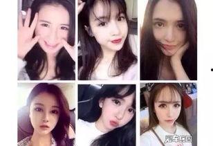 中国明星网红理论片,网红效应下的中国明星崛起之路