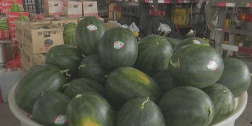 近期热门云南吃瓜事件,揭秘背后真相与网络舆论风暴