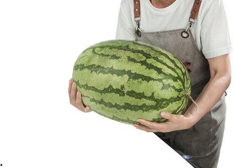 柳州石头瓜今日价格表,市场行情一览