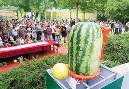 今日大瓜每日大赛往期,今日大瓜每日大赛经典瞬间大盘点