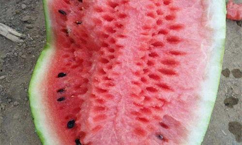 热门大瓜排行榜,盘点近期娱乐圈最热话题