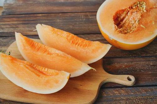 现在可以吃黑蜜瓜吗,现在正是享用黑蜜瓜的最佳时节