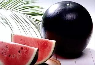 现在可以吃黑蜜瓜吗,现在正是享用黑蜜瓜的最佳时节