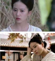 明星网红前生今世图片,明星网红的前世今生揭秘