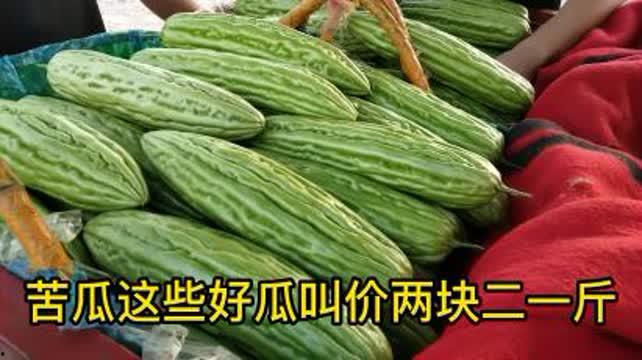 凉瓜今日价格行情最新,今日行情一览