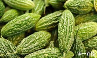 凉瓜今日价格行情最新,今日行情一览