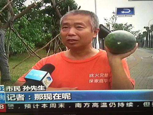 上海最新吃瓜热门事件视频,视频揭秘惊人内幕，网友热议不断