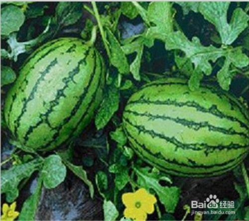 工商黑料吃瓜网,吃瓜网带你探秘企业幕后真相