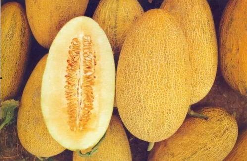 北京哈密瓜今日价格,价格行情一览”