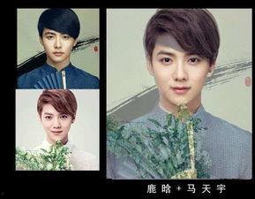 合成明星网红合集在线,合成明星网红合集创新之旅