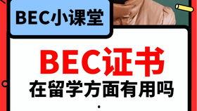 吃瓜爆料第二期视频播放,揭秘娱乐圈幕后真相，精彩瞬间不容错过