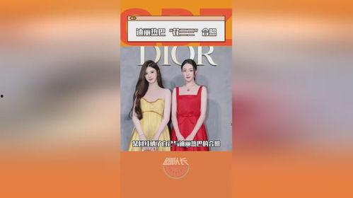 中国明星网红对比文案,跨界魅力与影响力对决