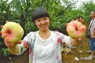 汝州黑妮吃瓜事件真相,揭秘背后真相与网络舆论风暴