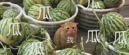 今日最新黑料吃瓜,真相大白，明星隐私再遭曝光