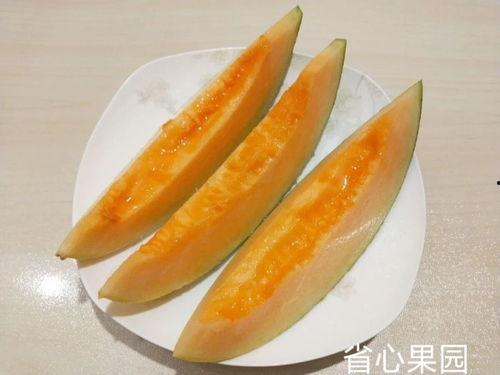 今日哈密瓜超甜文案,揭秘今日超甜瓜王风采