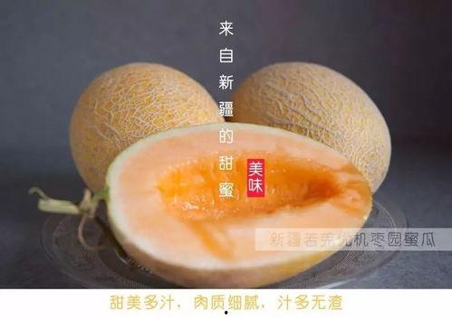 今日哈密瓜超甜文案,揭秘今日超甜瓜王风采