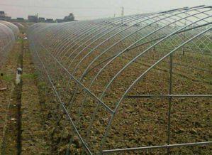 哈密瓜大棚钢管今日价格,市场行情一览”