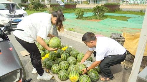 吃瓜网黑科大,吃瓜网上的校园风云录