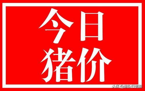 夏县甜蜜蜜瓜今日行情,新鲜上市，价格走俏，抢购正当时！