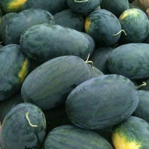 黑域俱乐部吃瓜,揭秘神秘组织背后的吃瓜风云