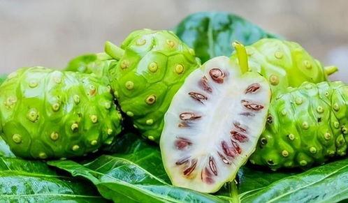 吃瓜网站分享黑料不迷路,轻松掌握热门八卦，不迷路！