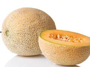 嘉兴今日哈密瓜价格查询