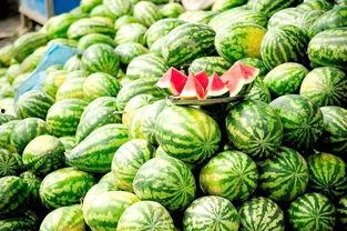 今日份茄瓜文案图片大全