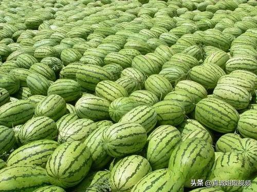 首页今日吃瓜热门大瓜,揭秘娱乐圈最新惊天秘闻