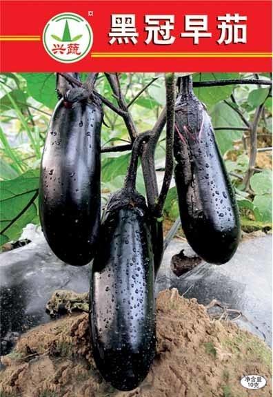 黑茄瓜要去皮吗怎么吃,黑茄瓜去皮技巧与美味食用方法解析