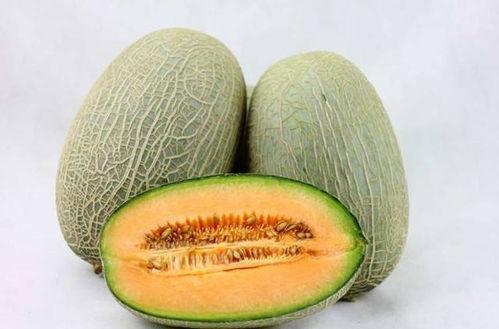 哈密瓜吃后嘴唇黑,揭秘水果中的“染唇”奇观